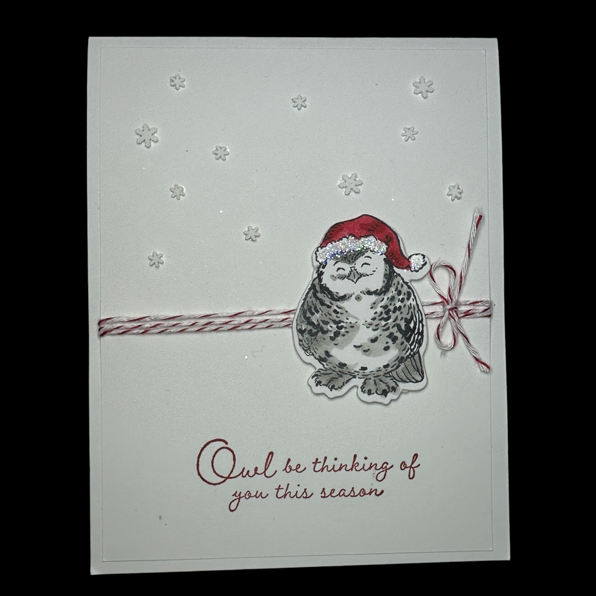 Owl Christmas Card with Santa Hat and Clean White Design