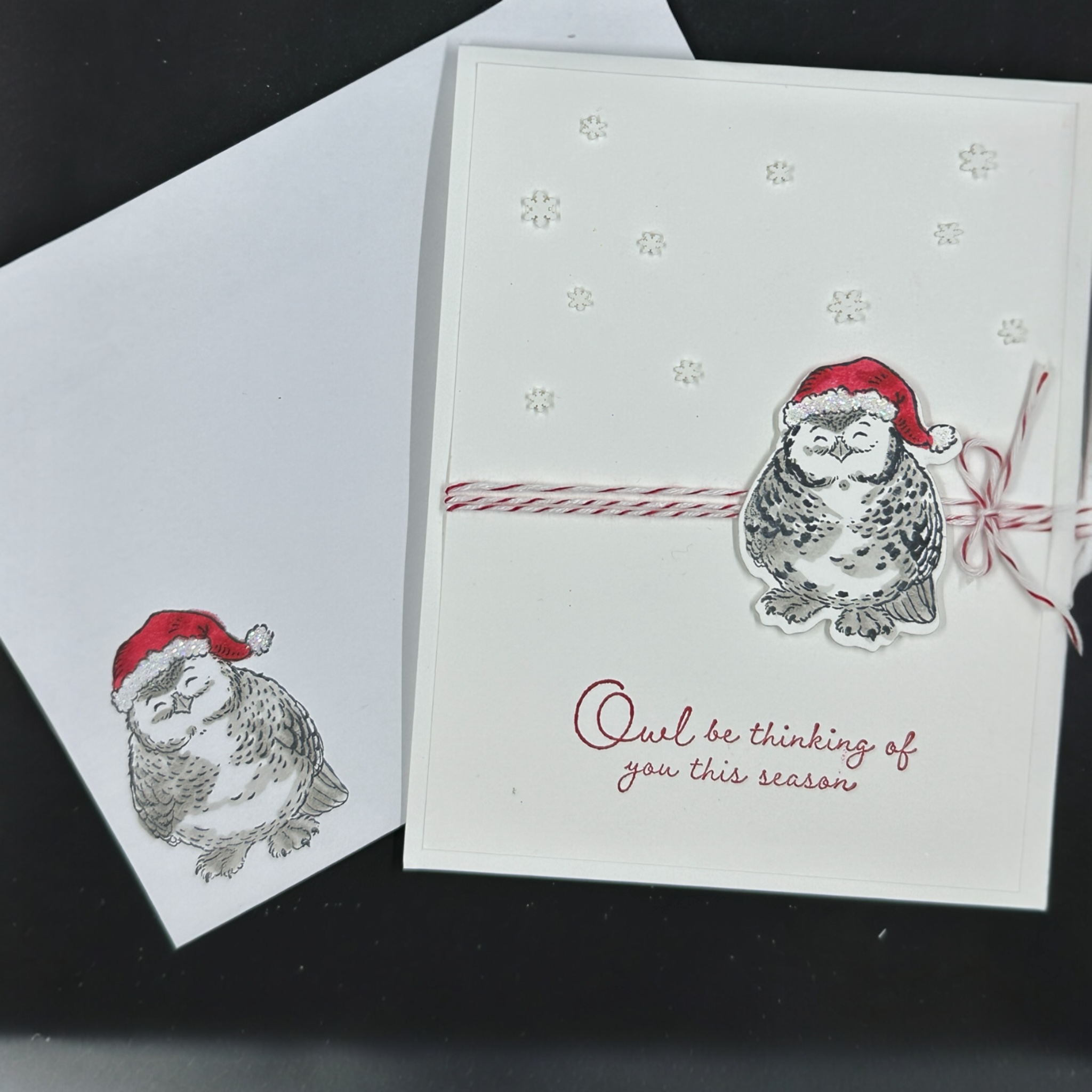 Owl Christmas Card with Santa Hat and Clean White Design