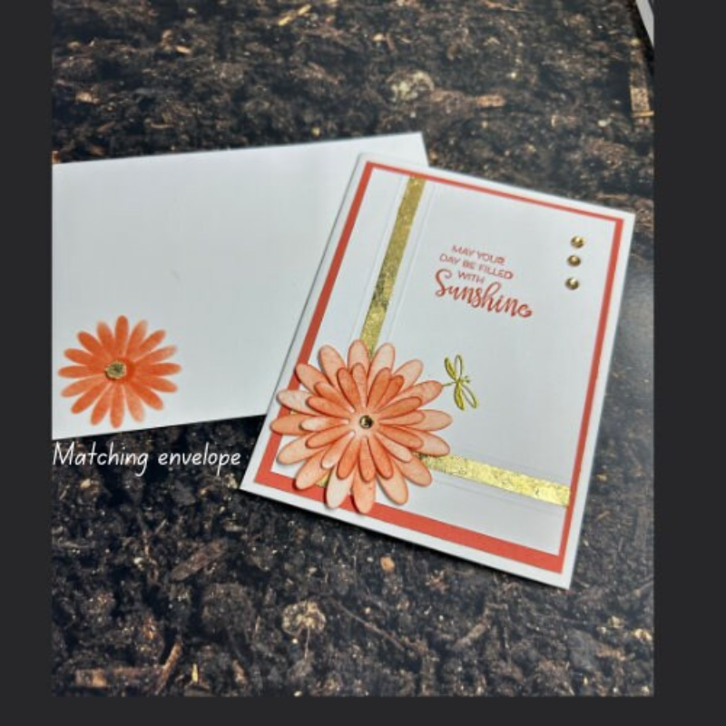 Lovely Daisy Greeting Card with Gold Accents - "May Your Day Be Filled with Sunshine"