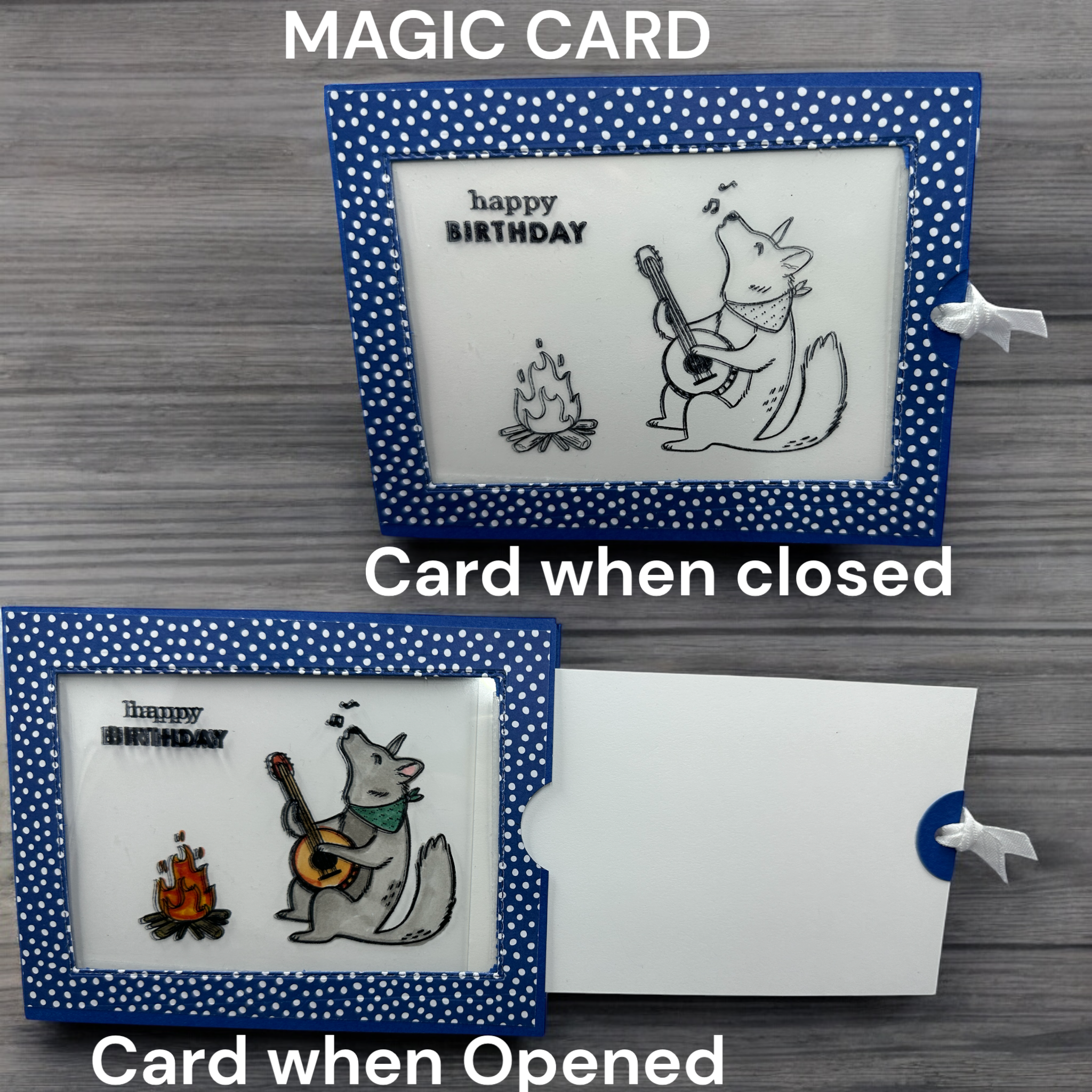 Magic Reveal Birthday Card | Bear Playing Banjo at Campfire | Pull-Tab Color-Changing Card